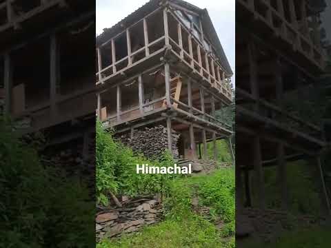 himachal #himachal #youtubeshorts