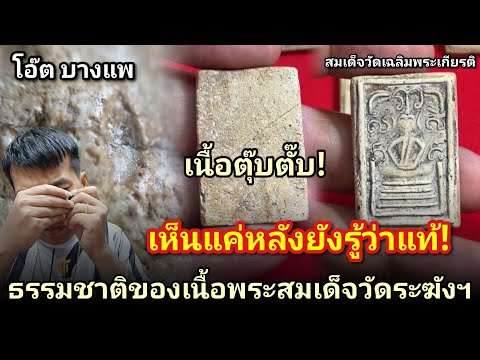 ธรรมชาติของเนื้อ พระสมเด็จวัดระฆังแท้ๆ สมเด็จวัดเฉลิมพระเกียรติ |โอ๊ต บางแพ