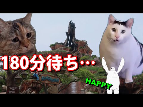 東京ディズニーランドでの１日 【happyベイマックス】 #猫ミーム #猫マニ　#ディズニーあるある