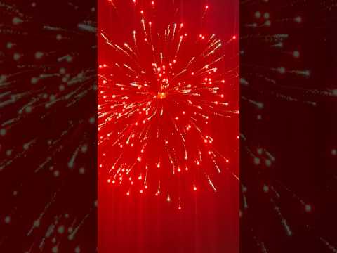 Biggest skyshot by sony fireworks #skyshot #diwali2024 #diwali #india #patakhe #fireworks #viral