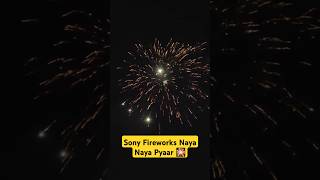 Sony Fireworks Naya Naya Pyaar 4 inch Skyshot #shorts #sonyfireworks #diwali