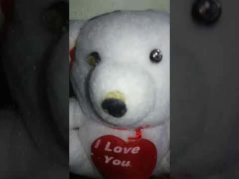 quite teddy bear **subscribe & like