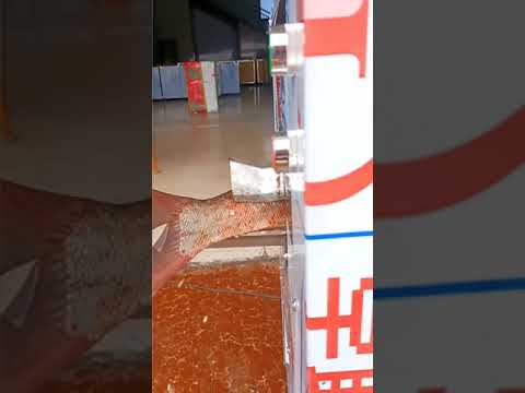 Machinery Tools - You must buy this Ultimate Fish Killing/Slicer Machine #shorts