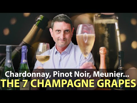 The 7 Grapes of Champagne | Explained