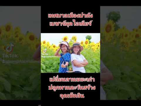 เทศบาลเมืองปาดังเบซาร์ผุดไอเดียเปลี่ยนลานขยะเก่าปลูกทานตะวันสร้างจุดเช็คอิน#สงขลา #ข่าวใหม่
