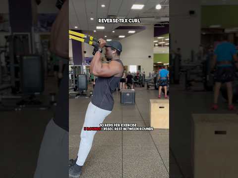 Forearm Workout (Full Circuit) #forearms #workout #trxworkout