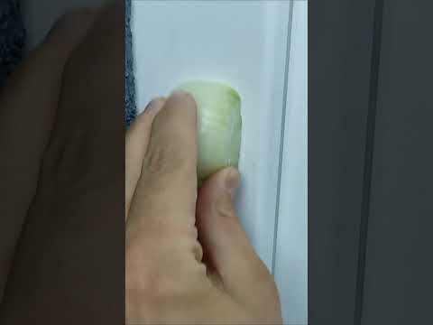 Rub onion on your door and you will be delighted