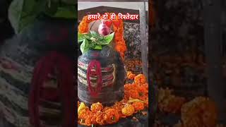 हमारे दो ही रिश्तेदार #pandit_pradeep_ji_mishra #shiiv #upay #shorts @sairdha