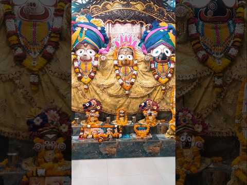 #500kview__Shyama aan baso vrindavan mein #iskcon #sorts #2025 #viralshorts #love #harekrishna#radha