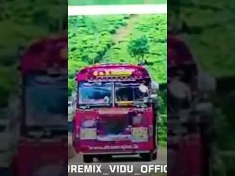 #busdj ||@YouTube