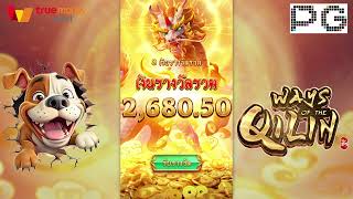 เว็บตรงไม่ผ่านเอเย่นต์!!