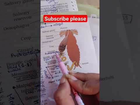 cockroach Alimentary canal#biology  #neet #ncert #class11 #cockroach #trick #trickshots #revision