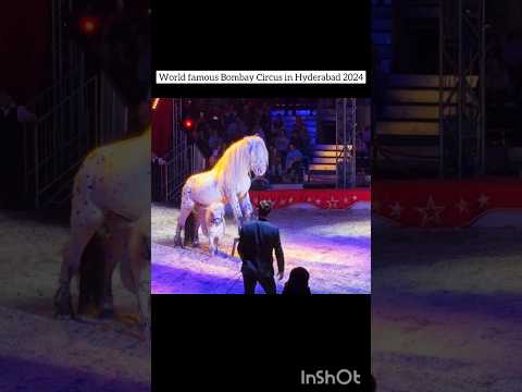 Hyderabad Circus #funny #bombaycircus #circus #hyderabad #shorts @pagalbilli23