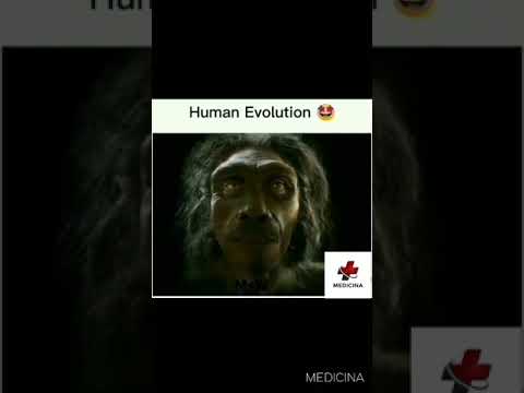Human Evolution | #NEET #Mbbs #Aiims #Biology #Evolution #NeetTricks #Neet2021 #Neet2022 #Neet2023