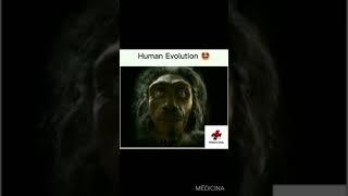 Human Evolution | #NEET #Mbbs #Aiims #Biology #Evolution #NeetTricks #Neet2021 #Neet2022 #Neet2023