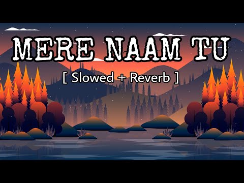 Mere Naam Tu -(Slowed and Reverb) | Shah Rukh Khan | Ajay-Atul | Celestial Cypher