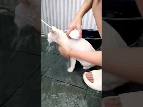 นวล บ่มัก แต่ขัดแม่บ่ด้ายยยยยย