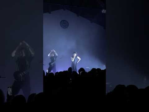 stay still - live