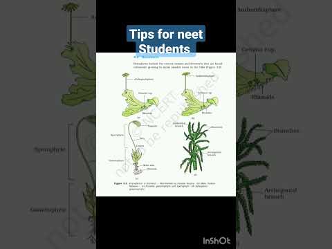tips for neet students #neet #neet2023 #neetbiology #neetmotivation#neetaspirant#viral #shorts