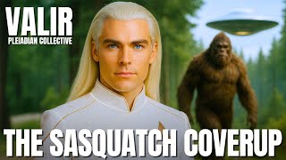 "Bigfoot Are REAL And Will Be A BIG Part Of Disclosure..."‼️ | The Pleiadians | VALIR