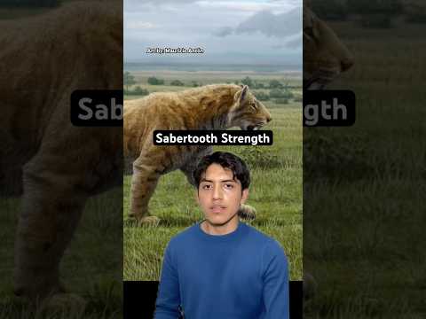 Sabertooth Strength #prehistoric #animal #nature #horror #sabertooth