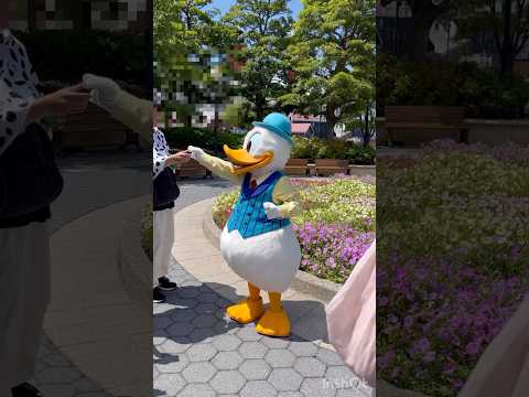 東京ディズニーシー☆アメリカウォーターフロントエリア☆ドナルドフリーグリーティング💐#ディズニーシー #ドナルド #キャラクターグリーティング    #ディズニー