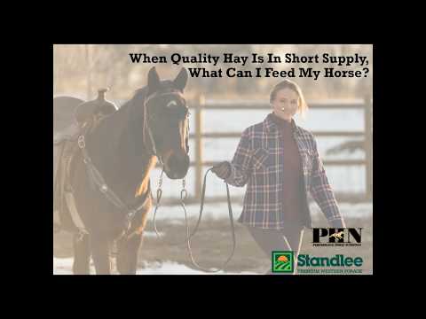 When Quality Hay Is In Short Supply, What Can I Feed My Horse?
