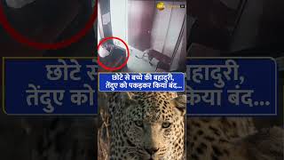 Incredible bravery: 12-Year-Old Boy Saves Entire Village from Leopard Attack in Nashik!