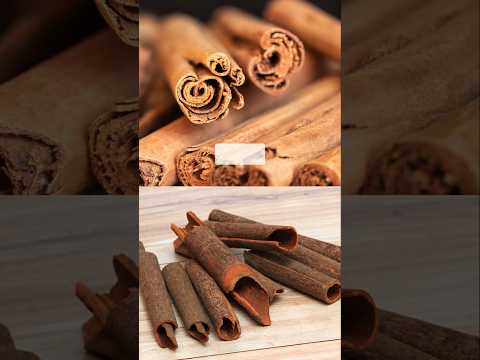 दालचीनी cinnamon || #health #herbs #spices #cinnamon #shorts #trending