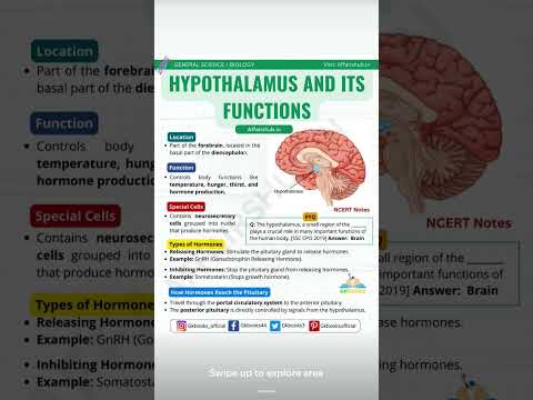 #medicaleducation #medicalterms #brain #subscribemychannel