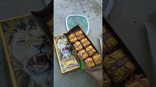 Best diwali crackers // cracker experiment // 😲😂 #cracker #fireworks #diwali #crackers #Shorts #S...