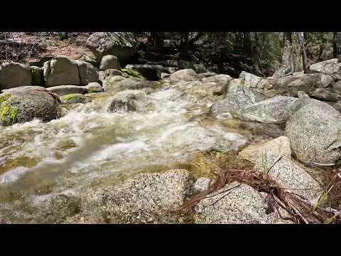 Divine love/energy infused creek during eclipse in So Cal. (22.22)