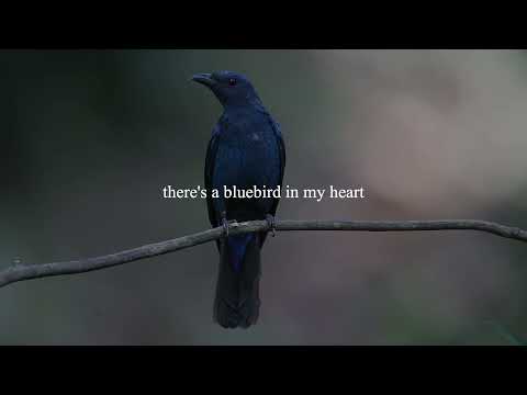Bluebird by Charles Bukowski