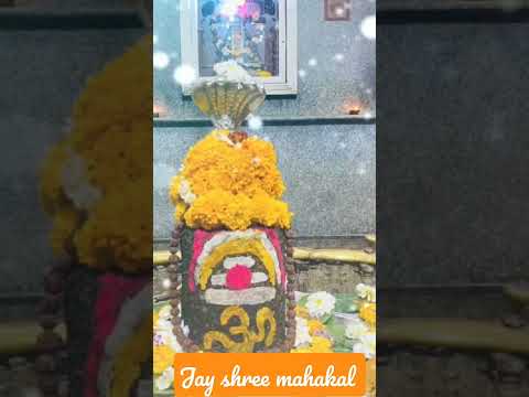 Mahakal New WhatsApp status video for Instagram status fasbook status video #shorts