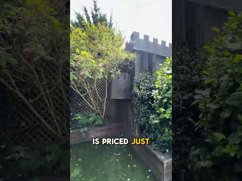 Eureka Valley Victorian Dream Home San Francisco