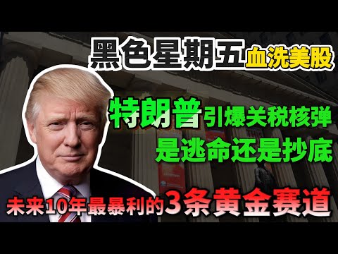 重磅！黑色星期五血洗美股，特朗普引爆关税核弹，中国亮出稀土王牌！科技股何去何从，是逃命还是抄底？90%的人都做错了！未来10年最暴利的3条黄金赛道！#华尔街 #特朗普 #稀土 #美股投资