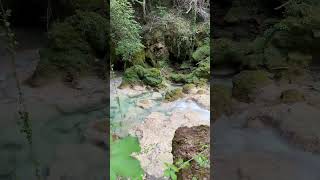 Crystal Waters in the Forest #asmr