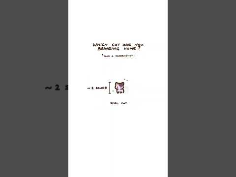 What cat are you? { #cat #cute #animals #pause #kawaii #chibi #art }