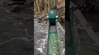 Dredging for Gold #goldprospecting #goldmines #goldmining #goldrush