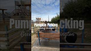 Apple & Pumpkin Picking in Green bluff, Washington #farmfresh #pumpkinpatch #shorts #youtubeshorts
