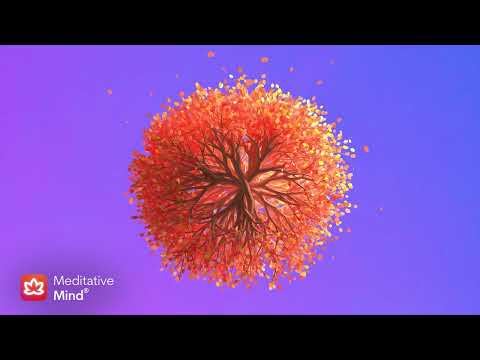 888 Hz: Abundance & Prosperity | Manifestation Frequency Ambient Meditation
