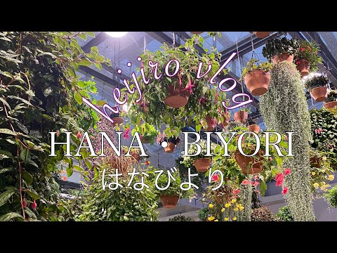 【vlog】よみうりランドに併設されたHANA・BIYORI(はなびより)の夜間ライトアップ、【HANAあかり】に行ってきました。 日本初の植物園スタバがオシャレ過ぎ！ #vlog