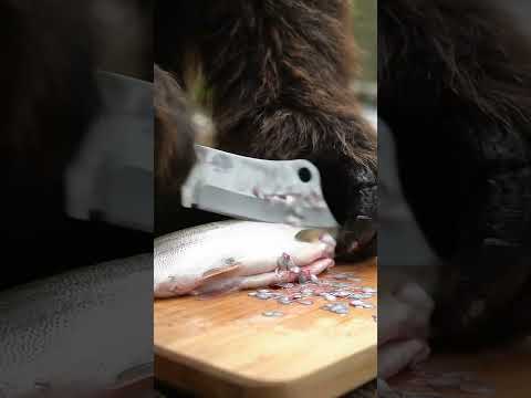 Bigfoot cooks fish stew and handmade flatbread. Bigfoot vlog.