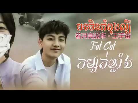 បទសេដខ្លាំង Fat Cat - 若月亮没来 - 王宇宙 បទចិនកំពុងល្បី កម្សត់ខ្លាំង SONG SAD 😔