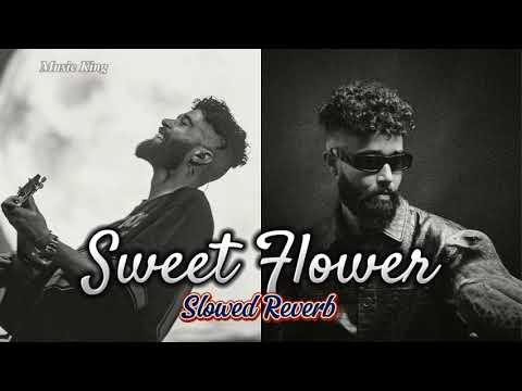 Sweet Flower - AP Dhillon (Slowed + Reverb)