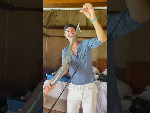 Ever caught a fish from inside of your LIVING ROOM? 🤯🤩. #fishing #borabora