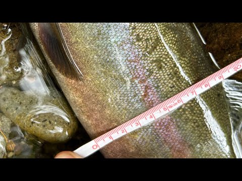 今シーズン初釣行　大物釣れましたー！