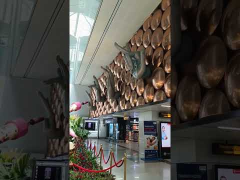 📍Indira Gandhi International Airport ♥️#youtubeshorts#youtubeshort#viralvideo#viral#shortfeed #delhi
