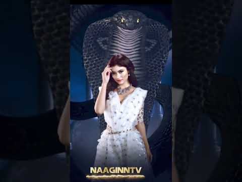 naagin 1 shivanya naagin walking #naagin7 #vfx #colourstv @Handbasket-tv