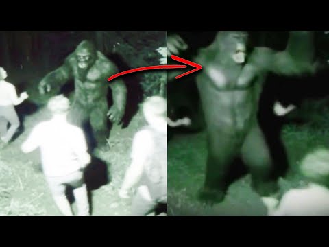 This Bigfoot Hunted and K!lled an Entire Hunting Group in Appalachian Mountains - BIGFOOT Stories